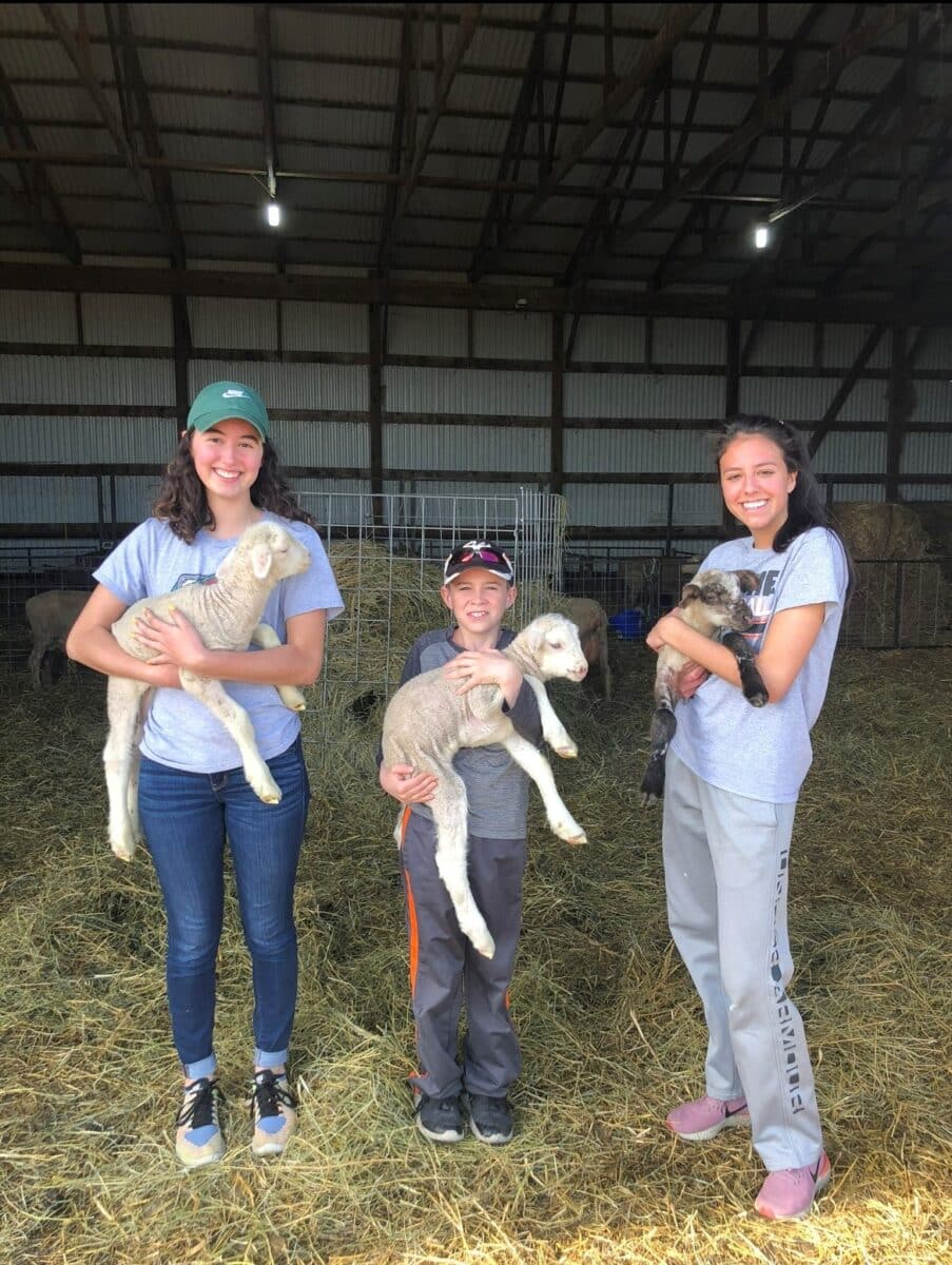 Kids holding lambs