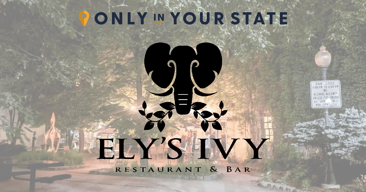 elys ivy blog header-01-01-01